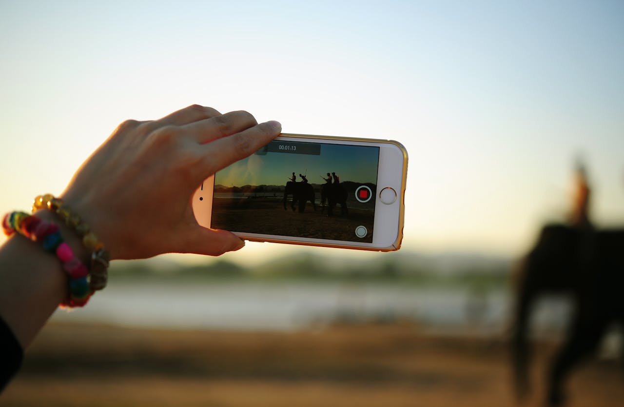 Home A colorful bracelet-adorned hand holding a smartphone capturing elephants in the distance.